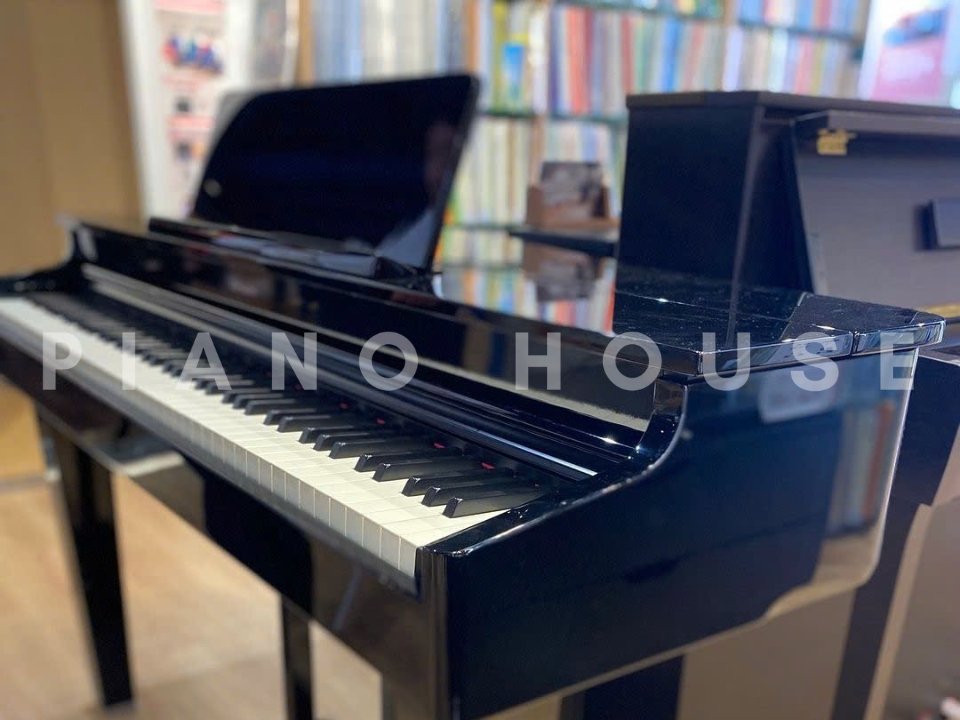 Chi tiết đàn ROLAND GP-6 PE (Used) - Hình 4